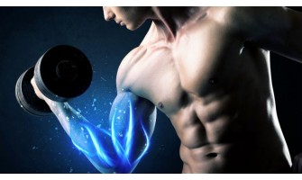 Наука за мускулите – 1 част