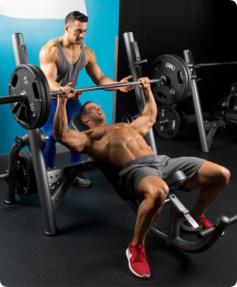 Подходящ партньор за фитнес с цел увеличаване на мускулната маса.