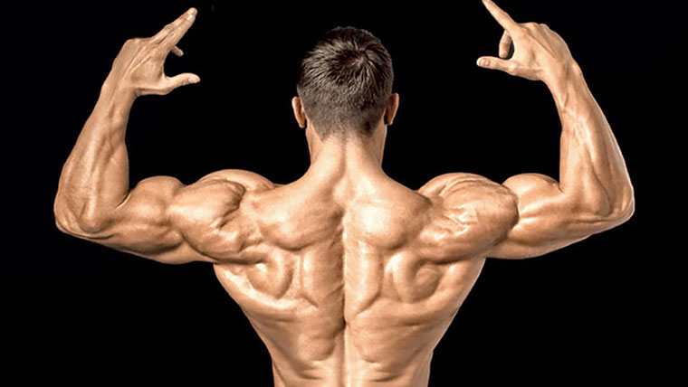 Ефективни упражнения за увеличаване обема на раменете с тежести.